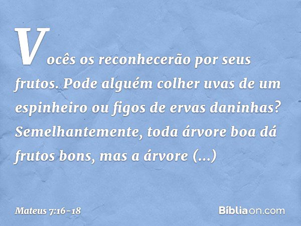 Vocês os reconhecerão por seus frutos. Pode alguém colher uvas de um espinheiro ou figos de ervas daninhas? Semelhantemente, toda árvore boa dá frutos bons, mas