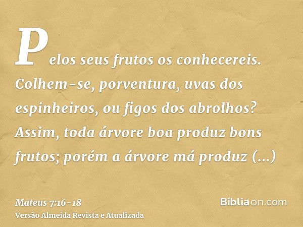 Pelos seus frutos os conhecereis. Colhem-se, porventura, uvas dos espinheiros, ou figos dos abrolhos?Assim, toda árvore boa produz bons frutos; porém a árvore m