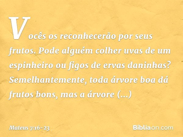 Vocês os reconhecerão por seus frutos. Pode alguém colher uvas de um espinheiro ou figos de ervas daninhas? Semelhantemente, toda árvore boa dá frutos bons, mas