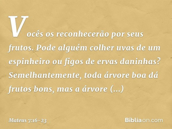 Vocês os reconhecerão por seus frutos. Pode alguém colher uvas de um espinheiro ou figos de ervas daninhas? Semelhantemente, toda árvore boa dá frutos bons, mas