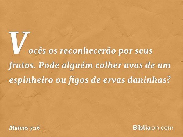 Vocês os reconhecerão por seus frutos. Pode alguém colher uvas de um espinheiro ou figos de ervas daninhas? -- Mateus 7:16