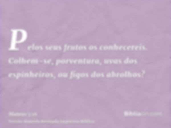 Pelos seus frutos os conhecereis. Colhem-se, porventura, uvas dos espinheiros, ou figos dos abrolhos?