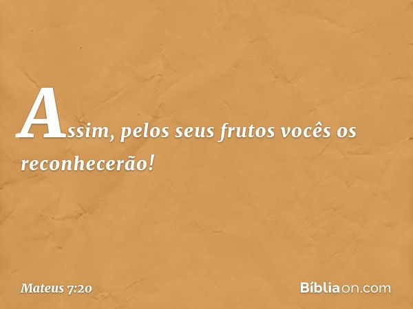 Assim, pelos seus frutos vocês os reconhecerão! -- Mateus 7:20