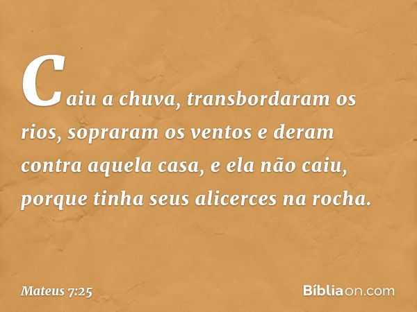 Caiu a chuva, transbordaram os rios, sopraram os ventos e deram contra aquela casa, e ela não caiu, porque tinha seus alicerces na rocha. -- Mateus 7:25