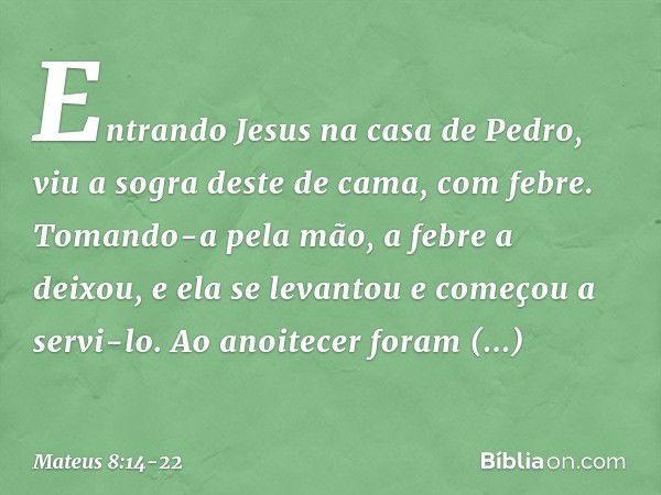 Mateus 8 14 22 Biblia