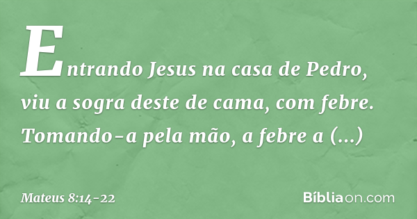 Mateus 8 14 22 Biblia