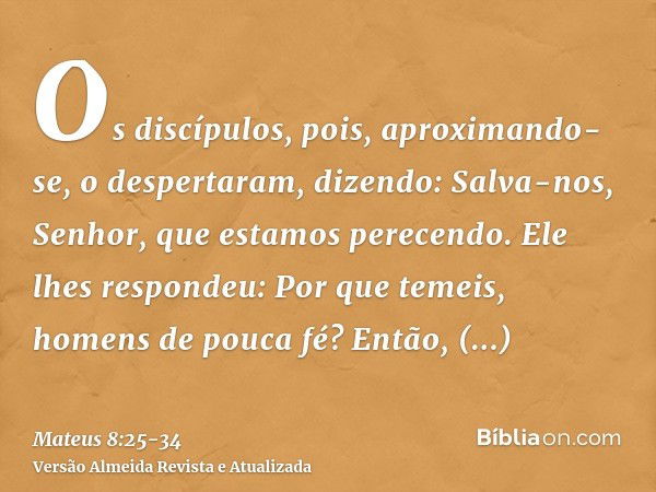 Os discípulos, pois, aproximando-se, o despertaram, dizendo: Salva-nos, Senhor, que estamos perecendo.Ele lhes respondeu: Por que temeis, homens de pouca fé? En