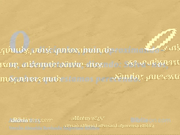 Os discípulos, pois, aproximando-se, o despertaram, dizendo: Salva-nos, Senhor, que estamos perecendo.