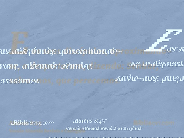 E os seus discípulos, aproximando-se, o despertaram, dizendo: Senhor, salva-nos, que perecemos.