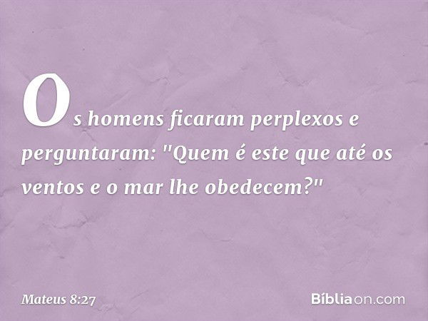 Os homens ficaram perplexos e perguntaram: "Quem é este que até os ventos e o mar lhe obedecem?" -- Mateus 8:27