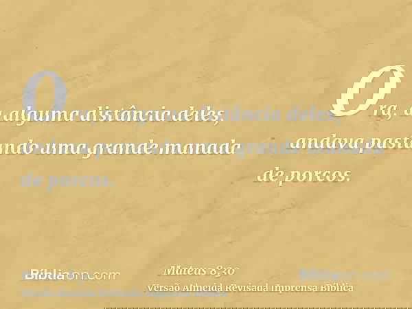 Ora, a alguma distância deles, andava pastando uma grande manada de porcos.