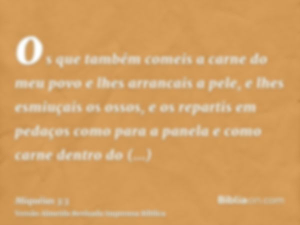 os que também comeis a carne do meu povo e lhes arrancais a pele, e lhes esmiuçais os ossos, e os repartis em pedaços como para a panela e como carne dentro do 