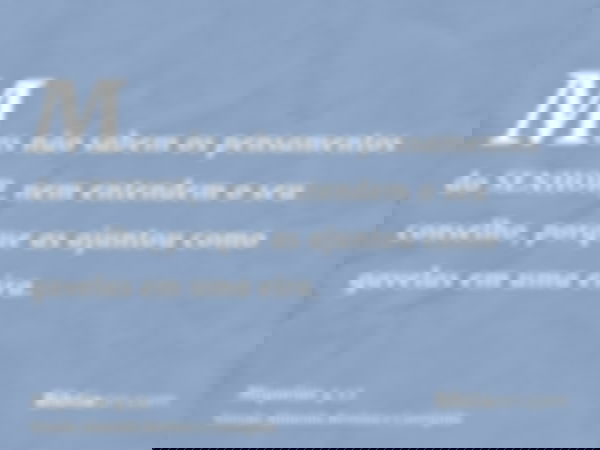 Mas não sabem os pensamentos do SENHOR, nem entendem o seu conselho, porque as ajuntou como gavelas em uma eira.