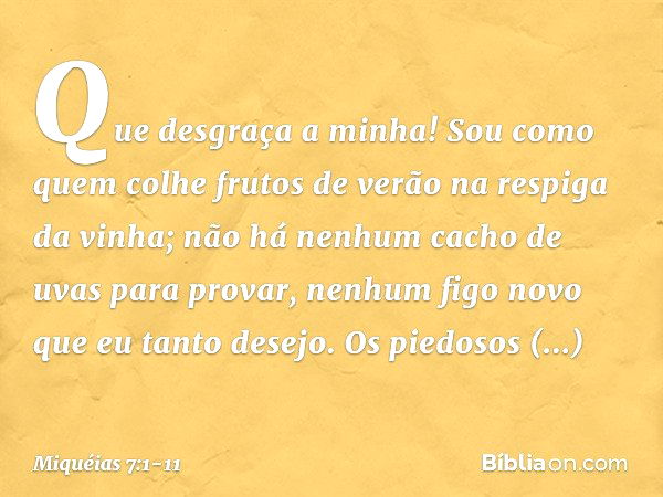 Que desgraça a minha!
Sou como quem colhe frutos de verão
na respiga da vinha;
não há nenhum cacho de uvas
para provar,
nenhum figo novo que eu tanto desejo. Os