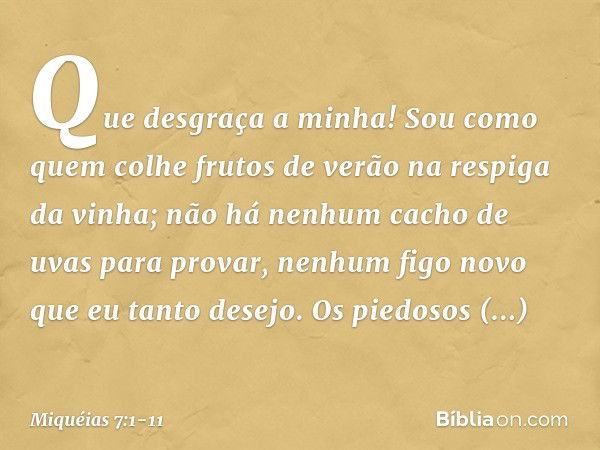 Que desgraça a minha!
Sou como quem colhe frutos de verão
na respiga da vinha;
não há nenhum cacho de uvas
para provar,
nenhum figo novo que eu tanto desejo. Os