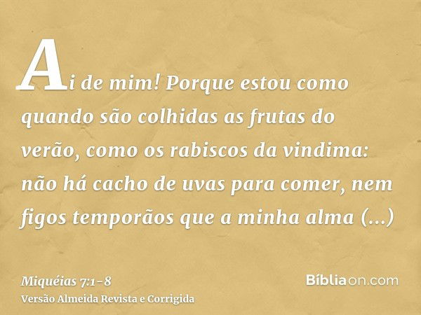 Ai de mim! Porque estou como quando são colhidas as frutas do verão, como os rabiscos da vindima: não há cacho de uvas para comer, nem figos temporãos que a min