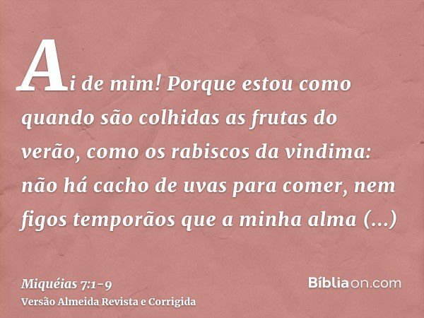 Ai de mim! Porque estou como quando são colhidas as frutas do verão, como os rabiscos da vindima: não há cacho de uvas para comer, nem figos temporãos que a min