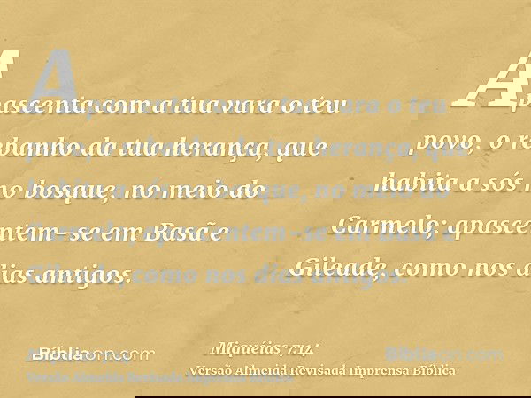 Apascenta com a tua vara o teu povo, o rebanho da tua herança, que habita a sós no bosque, no meio do Carmelo; apascentem-se em Basã e Gileade, como nos dias an