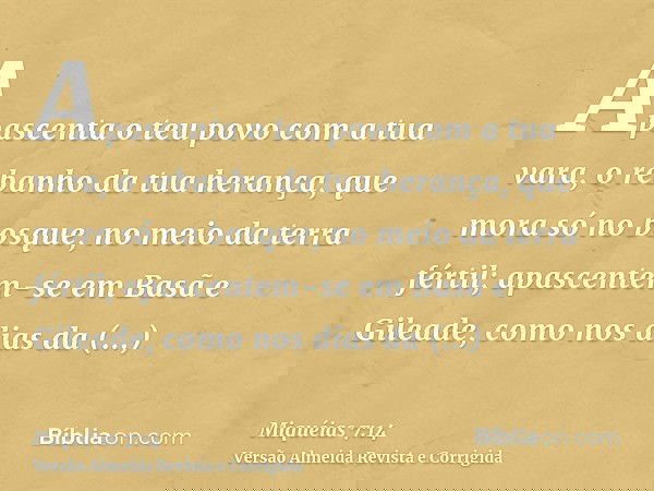 Apascenta o teu povo com a tua vara, o rebanho da tua herança, que mora só no bosque, no meio da terra fértil; apascentem-se em Basã e Gileade, como nos dias da