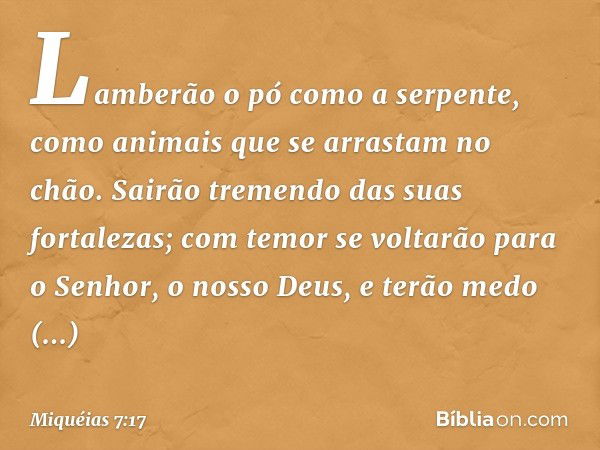 Lamberão o pó como a serpente,
como animais
que se arrastam no chão.
Sairão tremendo das suas fortalezas;
com temor se voltarão
para o Senhor, o nosso Deus,
e t