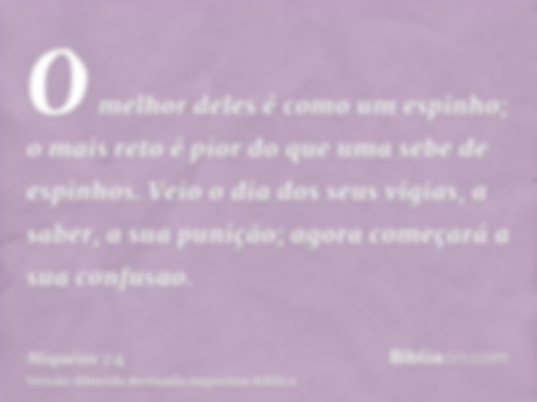 O melhor deles é como um espinho; o mais reto é pior do que uma sebe de espinhos. Veio o dia dos seus vigias, a saber, a sua punição; agora começará a sua confu