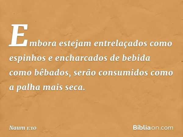 Embora estejam entrelaçados
como espinhos
e encharcados de bebida como bêbados,
serão consumidos
como a palha mais seca. -- Naum 1:10