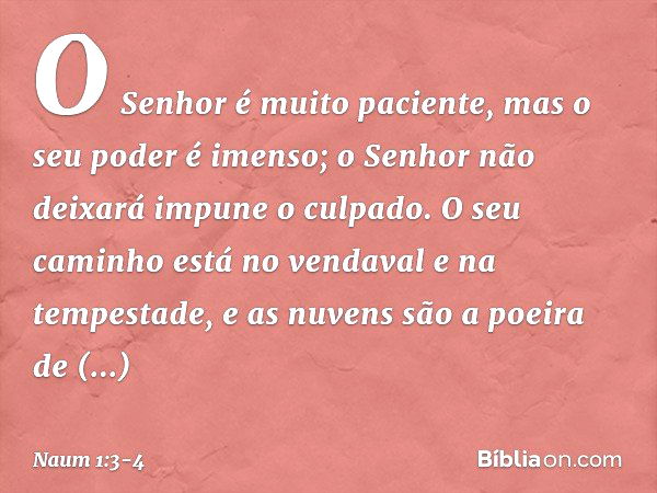 O Senhor é muito paciente,
mas o seu poder é imenso;
o Senhor não deixará impune o culpado.
O seu caminho está no vendaval
e na tempestade,
e as nuvens são a po