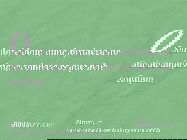 O Senhor é bom, uma fortaleza no dia da angústia; e conhece os que nele confiam.