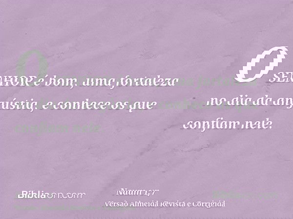 O SENHOR é bom, uma fortaleza no dia da angústia, e conhece os que confiam nele.