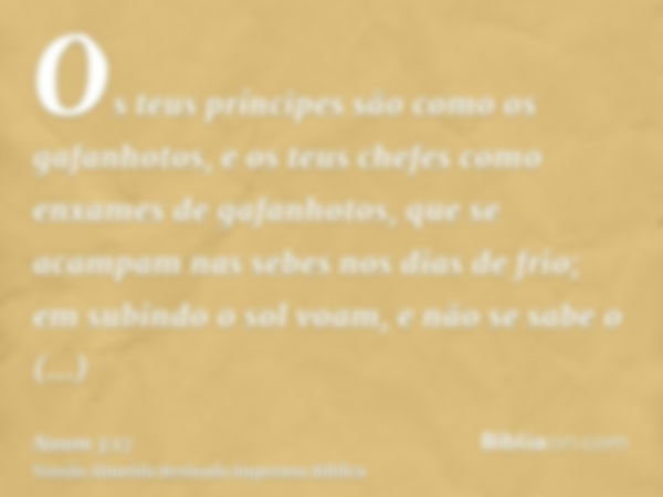 Os teus príncipes são como os gafanhotos, e os teus chefes como enxames de gafanhotos, que se acampam nas sebes nos dias de frio; em subindo o sol voam, e não s