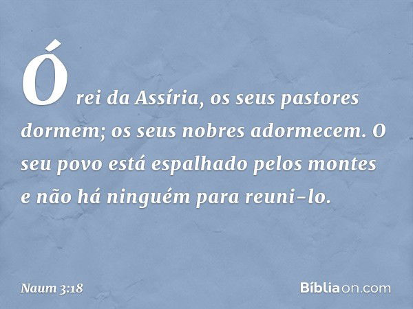 Ó rei da Assíria,
os seus pastores dormem;
os seus nobres adormecem.
O seu povo está espalhado pelos montes
e não há ninguém para reuni-lo. -- Naum 3:18