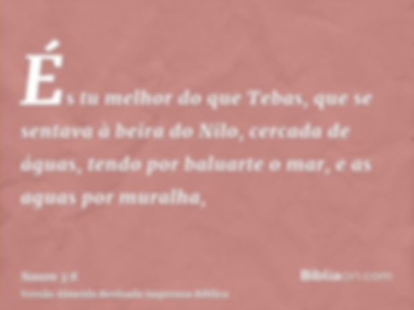 És tu melhor do que Tebas, que se sentava à beira do Nilo, cercada de águas, tendo por baluarte o mar, e as aguas por muralha,