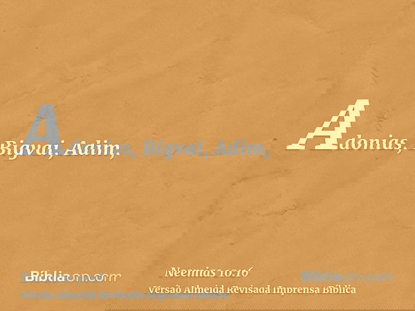 Adonias, Bigvai, Adim,