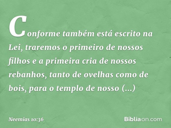 "Conforme também está escrito na Lei, traremos o primeiro de nossos filhos e a primeira cria de nossos rebanhos, tanto de ovelhas como de bois, para o templo de