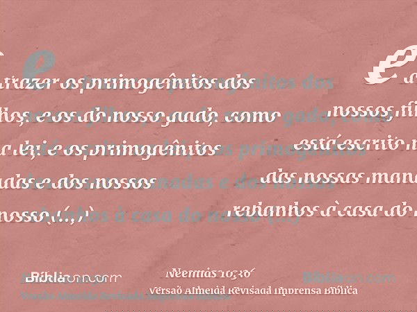 e a trazer os primogênitos dos nossos filhos, e os do nosso gado, como está escrito na lei, e os primogênitos das nossas manadas e dos nossos rebanhos à casa do