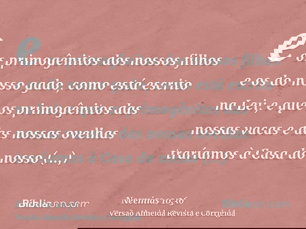 e os primogênitos dos nossos filhos e os do nosso gado, como está escrito na Lei; e que os primogênitos das nossas vacas e das nossas ovelhas traríamos à Casa d