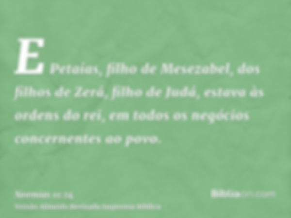 E Petaías, filho de Mesezabel, dos filhos de Zerá, filho de Judá, estava às ordens do rei, em todos os negócios concernentes ao povo.