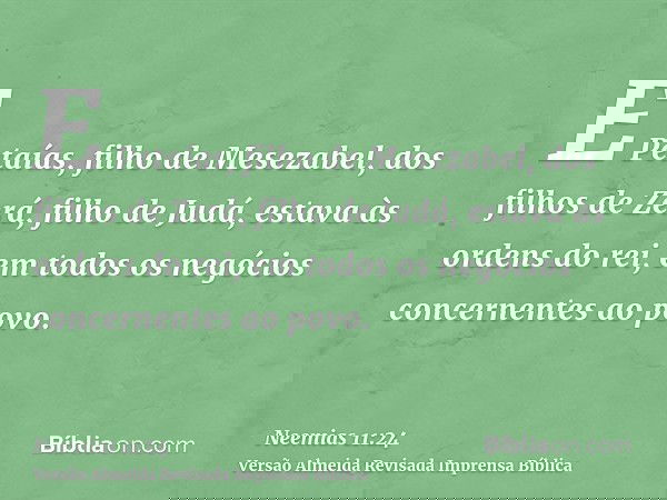 E Petaías, filho de Mesezabel, dos filhos de Zerá, filho de Judá, estava às ordens do rei, em todos os negócios concernentes ao povo.