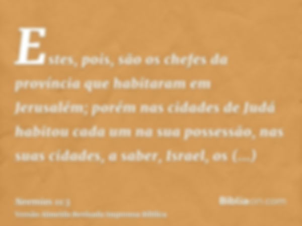 Estes, pois, são os chefes da província que habitaram em Jerusalém; porém nas cidades de Judá habitou cada um na sua possessão, nas suas cidades, a saber, Israe