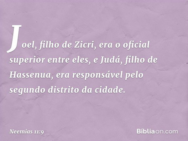 Joel, filho de Zicri, era o oficial superior entre eles, e Judá, filho de Hassenua, era responsável pelo segundo distrito da cidade. -- Neemias 11:9