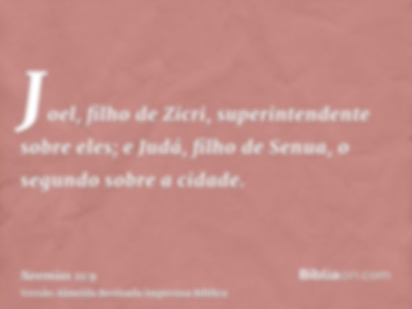 Joel, filho de Zicri, superintendente sobre eles; e Judá, filho de Senua, o segundo sobre a cidade.