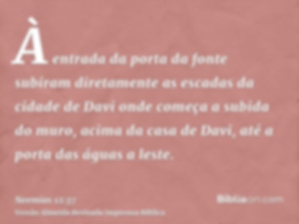 À entrada da porta da fonte subiram diretamente as escadas da cidade de Davi onde começa a subida do muro, acima da casa de Davi, até a porta das águas a leste.