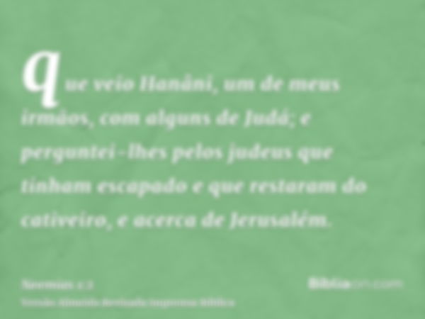 que veio Hanâni, um de meus irmãos, com alguns de Judá; e perguntei-lhes pelos judeus que tinham escapado e que restaram do cativeiro, e acerca de Jerusalém.