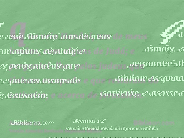 que veio Hanâni, um de meus irmãos, com alguns de Judá; e perguntei-lhes pelos judeus que tinham escapado e que restaram do cativeiro, e acerca de Jerusalém.