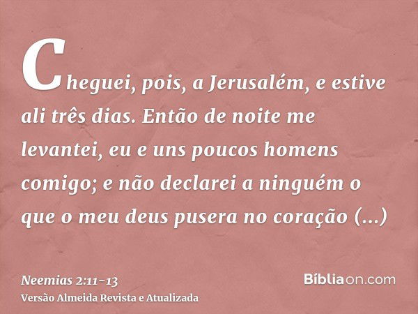 Cheguei, pois, a Jerusalém, e estive ali três dias.Então de noite me levantei, eu e uns poucos homens comigo; e não declarei a ninguém o que o meu deus pusera n