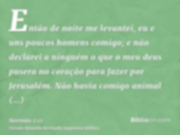 Então de noite me levantei, eu e uns poucos homens comigo; e não declarei a ninguém o que o meu deus pusera no coração para fazer por Jerusalém. Não havia comig