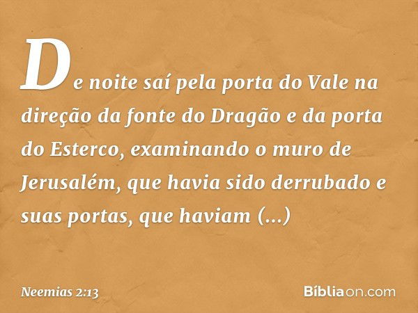 De noite saí pela porta do Vale na direção da fonte do Dragão e da porta do Esterco, examinando o muro de Jerusalém, que havia sido derrubado e suas portas, que