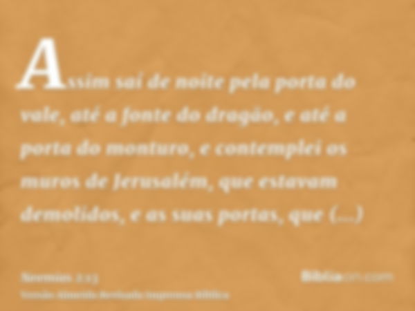 Assim saí de noite pela porta do vale, até a fonte do dragão, e até a porta do monturo, e contemplei os muros de Jerusalém, que estavam demolidos, e as suas por