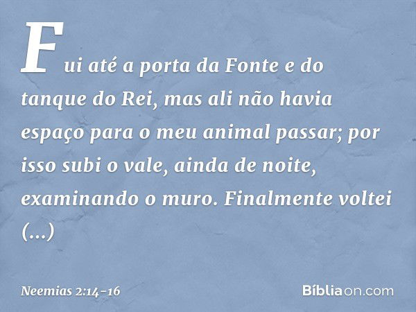 Fui até a porta da Fonte e do tanque do Rei, mas ali não havia espaço para o meu animal passar; por isso subi o vale, ainda de noite, examinando o muro. Finalme