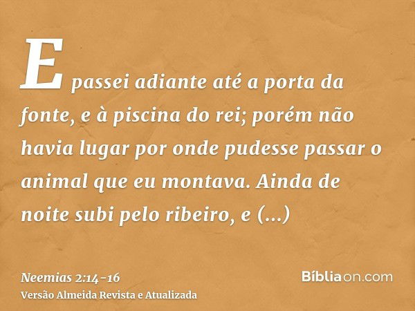 E passei adiante até a porta da fonte, e à piscina do rei; porém não havia lugar por onde pudesse passar o animal que eu montava.Ainda de noite subi pelo ribeir